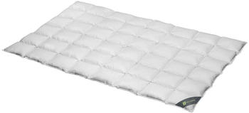 Spessarttraum Daunendecke Wildente normal 100% Daunen 155x220 cm