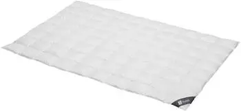 Spessarttraum Daunendecke Silber extra leicht 100% Daunen 155x220 cm