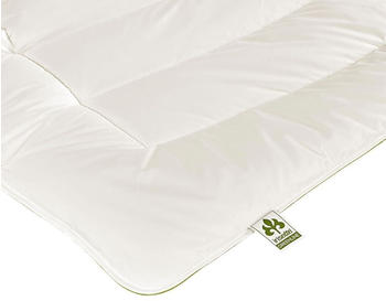 Irisette Greenline Aerelle Blue Faser Steppbett Leicht135x200 cm (EH-15279) Irisette Greenline Aerelle Blue Faser Steppbett Leicht135x200 cm (EH-15279)