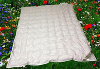 Betten Hofmann superleichte Sommer Daunendecke Punktstepp 155x220 cm 100% Neue