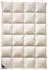 billerbeck Belvedere 100 Daunendecke 155x220 Mono