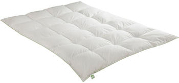 Irisette Greenline Kassettendecke Daunen warm 200x200 cm Winterdecke (3622370154) Irisette Greenline Kassettendecke Daunen warm 200x200 cm Winterdecke (3622370154)