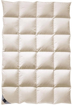 billerbeck Exclusiv Daunendecke 108 Duchessa Kassette II 155x220 cm