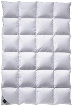 billerbeck Catalina Mono Daunendecke - 155x220cm