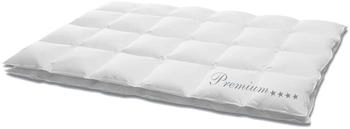Hans Kruchen Down Design Premium 4 Sterne Leicht 155 x 220 cm
