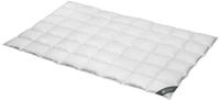 SPESSARTTRAUM Daunenbettdecke "Wildente Bettdecken 135x200cm & weitere Gr&ouml;&szlig;en"