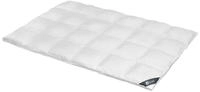 SPESSARTTRAUM Daunenbettdecke "Silber" extrawarm F&uuml;llung 100% Daunen 1 Stk....