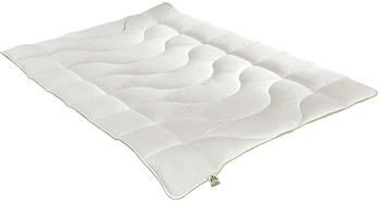 Irisette Greenline Cyclafill Eco Steppbett Mono200x200 cm (EH-15264) Irisette Greenline Cyclafill Eco Steppbett Mono200x200 cm (EH-15264)