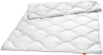 Sleepling Komfort 100 Ganzjahresdecke Steppbett 200x200 cm allergikergeeignet (19000000074)