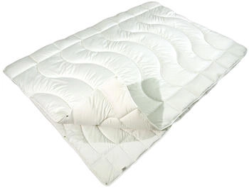 Sympathica Sympathica Microfaser Feinbatist Kombi-Steppbett 155x220 cm Vierjahreszeiten