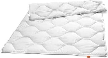 Sleepling Komfort 100, Ganzjahresdecke, Steppbett, 155x220 cm allergikergeeignet (19000000073)
