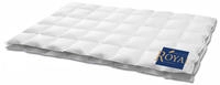 HANSKRUCHEN Royal Dauneneinziehdecke 155x220 cm extra Leicht 100% G&auml;nsedaunen