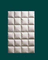 Hofmann anschmiegsame Ganzjahresdecke Daunendecke 4x6, 135x200 cm 980g Daunen