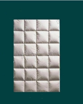 Betten Hofmann anschmiegsame Ganzjahresdecke Daunendecke 4x6 135x200 cm 980 g Daunen (39650)