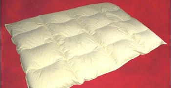 Betten Hofmann 4-Kammer Federbett Steppbett Winterdecke 135x200 cm 1400g 30% Daunen (60906)