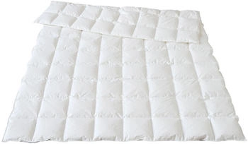 Traumina Bio Daunendecke Plume WK 1 extra leicht 100% Gänsedaunen 135x200 cm