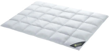 Spessarttraum Daunendecke Wildente Duo warm 100% Daunen 200x200 cm