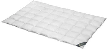 Spessarttraum Daunendecke Wildente medium 100% Daunen 200x220 cm