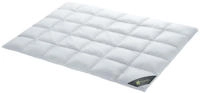 SPESSARTTRAUM Daunenbettdecke "Wildente Bettdecken 135x200cm & weitere...