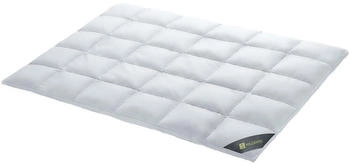 Spessarttraum Daunendecke Wildente Duo warm Daunen 155x220 cm