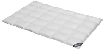 Spessarttraum Daunendecke Platin normal 100% Daunen 155x200 cm