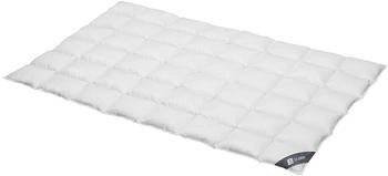 Spessarttraum Daunen Kassettendecke Silber medium 100% Daunen 155x200 cm