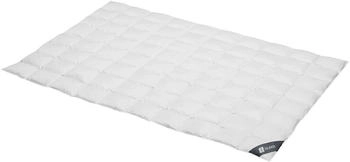 Spessarttraum Daunendecke Silber extra leicht 100% Daunen 200x220 cm