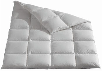Häussling Grönland warm Winter Kassettenbett 90er Daunen 200x200 cm (210900902183) Häussling Grönland warm Winter Kassettenbett 90er Daunen 200x200 cm (210900902183)