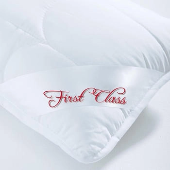 CelinaTex First Class Steppdecke 1x 140x200 + 1x80x80 PES Mikrofaser 1050g+1200g (6000824)