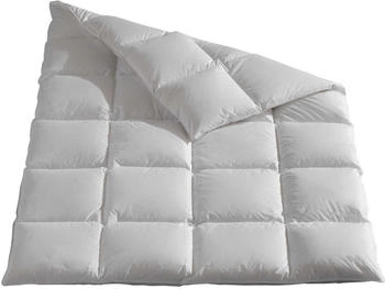 Häussling Daunen-Feder-Kassettendecke Königstraum warm 155x220 cm Winterdecke Häussling Daunen-Feder-Kassettendecke Königstraum warm 155x220 cm Winterdecke