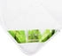 Traumschloss Aloe Vera Faser leicht 155 x 220 cm Bezug mit Aloe Vera veredelt (4472)
