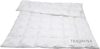 Traumina Cube Daune Kassettendecke WK 4 200x200 cm