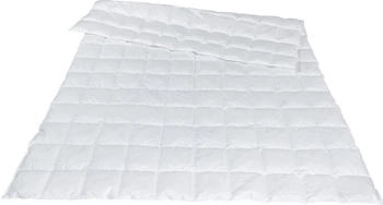 Traumina Bettdecke Plume Bio Daune extra leichte Sommerdecke WK1 200x220 cm