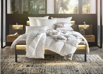 Musterring Dreamz Extraleicht 200x200cm