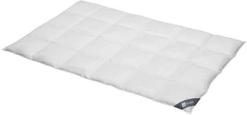 Spessarttraum Silber warm 240x220cm