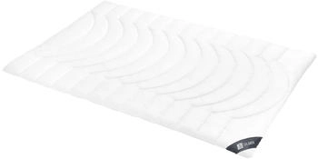 Spessarttraum Silber normal 135x200cm