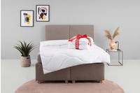 OTTO home Microfaserbettdecke "Caelan, kaufe eine Decke - erhalte die...