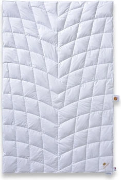 Schlafk&ouml;nig Sommerbettdecke extra leicht 135x200cm