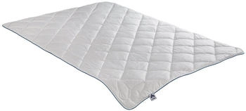 Irisette Sommerleichtsteppbett Wildseide 200x200cm
