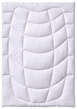 KAUFFMANN Kamelhaar warm 240x220cm
