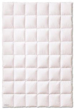 KAUFFMANN Weidegans-Steppbett normal 240x220cm