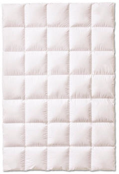 KAUFFMANN Superior warm 240x220cm