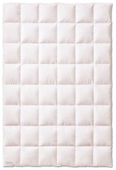 KAUFFMANN Weidegans-Steppbett warm 240x220cm