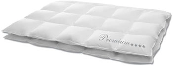 Hans Kruchen Down Design Premium 4 Sterne normal 240x220cm