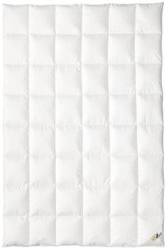 OBB 120 Jahre warm 155x220cm