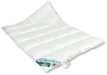Vitaschlaf Masuren Bauernflaum extrawarm 155x220cm