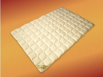 Garanta Sommerhit Bio Wildseide kbA 200x220cm