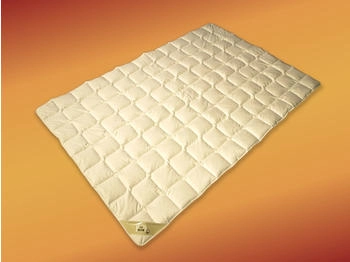 Garanta Sommerhit Bio Wildseide kbA 200x200cm