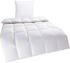 Home Affaire Litrone Warm