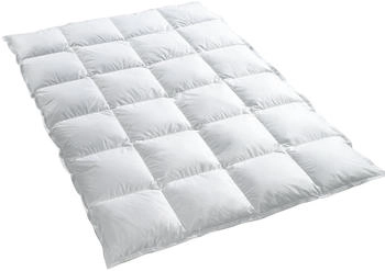BEFA Premium-Winterdecke extrawarm 135x200cm